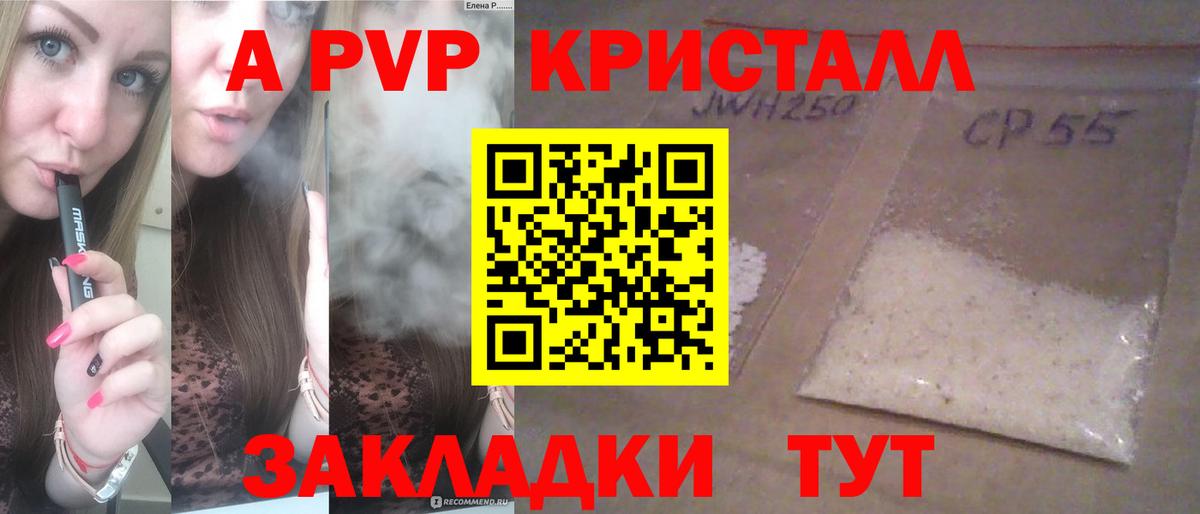 Alpha PVP СК КРИС  Альфа ПВП СК КРИС  Грозный  А ПВП СК  Вход с VPN 