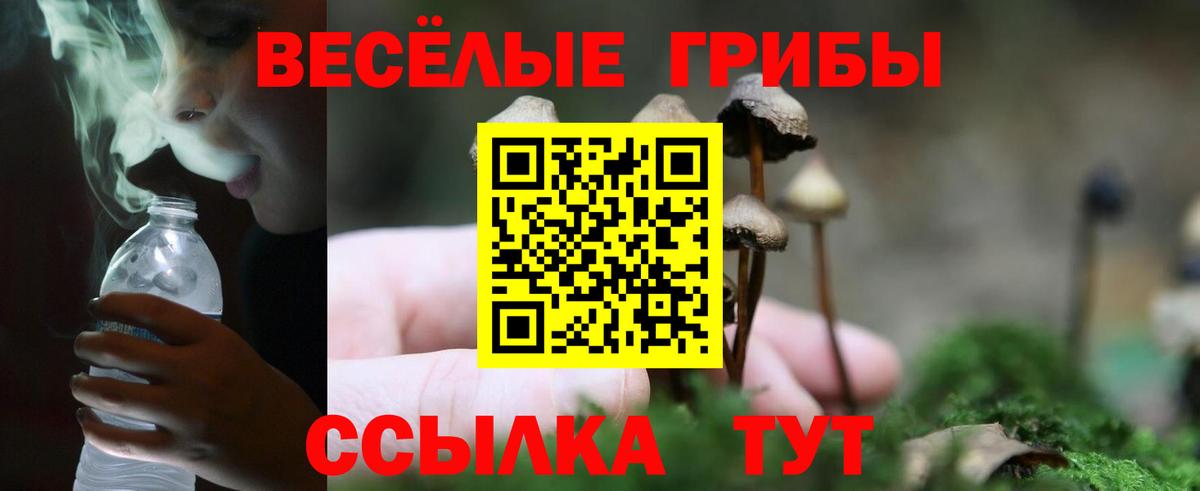 Псилоцибиновые грибы мицелий  Вход с VPN  Грозный 